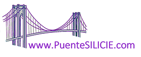 SILICIE - Suministro Inmediato de Libros de Información Contable de Impuestos Especiales - Puente Silicie SILICIE - Suministro Inmediato de Libros de Información Contable de Impuestos Especiales - Puente Silicie